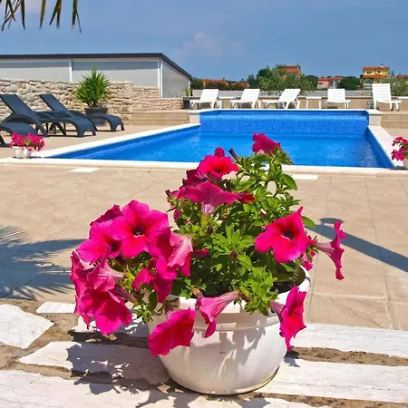 Fuer 5 Personen Ca 55 Qm In Fazana-surida, Istrien Istrische Riviera Apartment